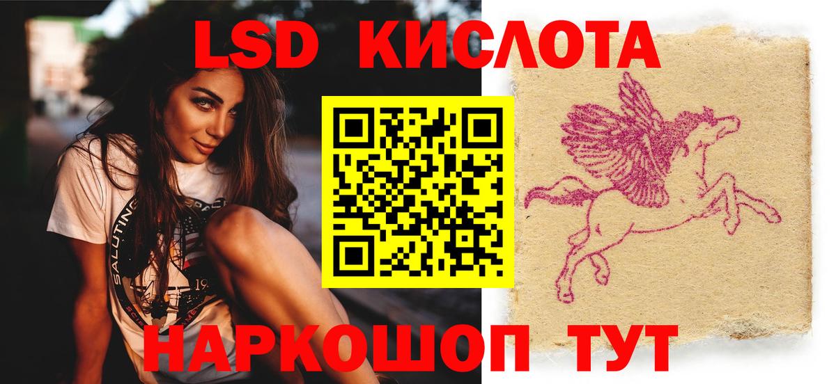 Электрогорск  ЛСД экстази  Лсд 25 экстази ecstasy  Вход с VPN  ЛСД экстази кислота 