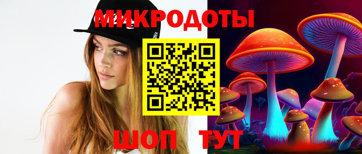 Галлюциногенные грибы мицелий  Галлюциногенные грибы прущие грибы  Вход с VPN  Электрогорск 