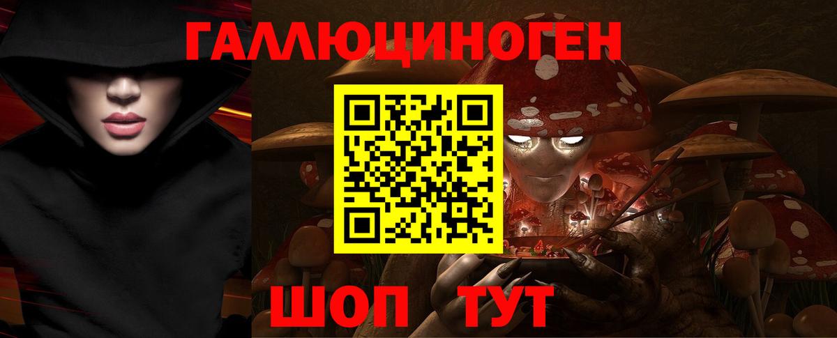 Псилоцибиновые грибы Psilocybe Электрогорск